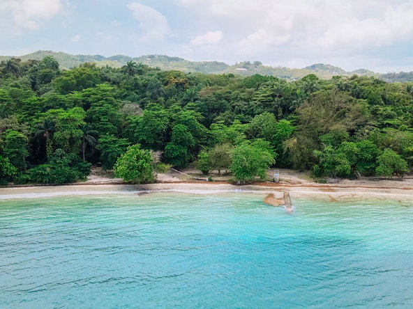 Third image of 10 San San Estate in SAN SAN, Portland, Jamaica - property is For Sale