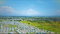 First image of Innswood in Innswood, St. Catherine, Jamaica - property is For Sale