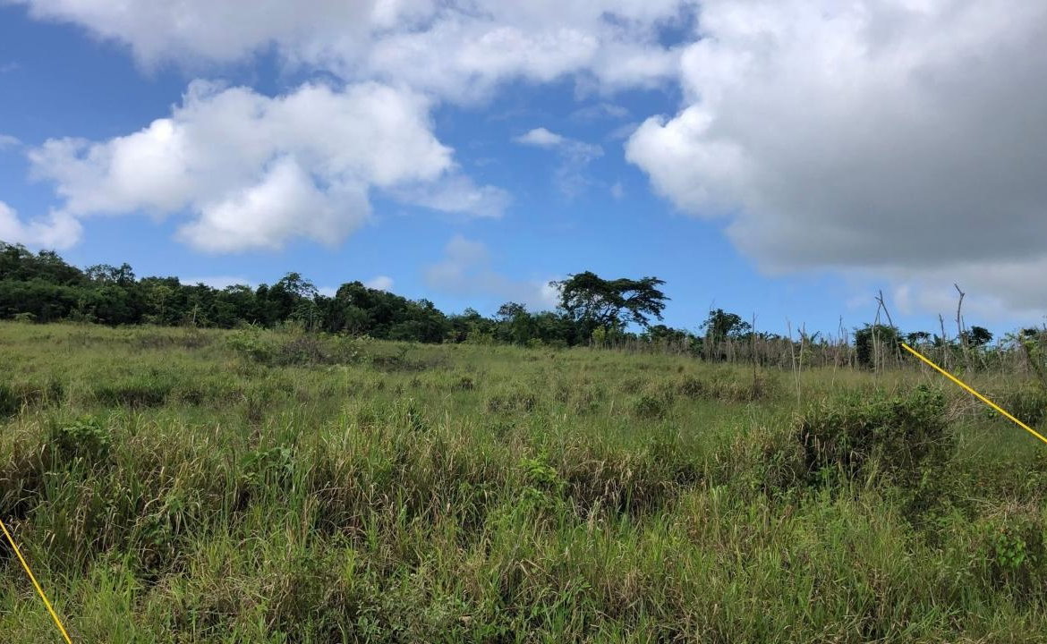 Second image of 458 Minard Estate in Browns Town, St. Ann, Jamaica - property is For Sale