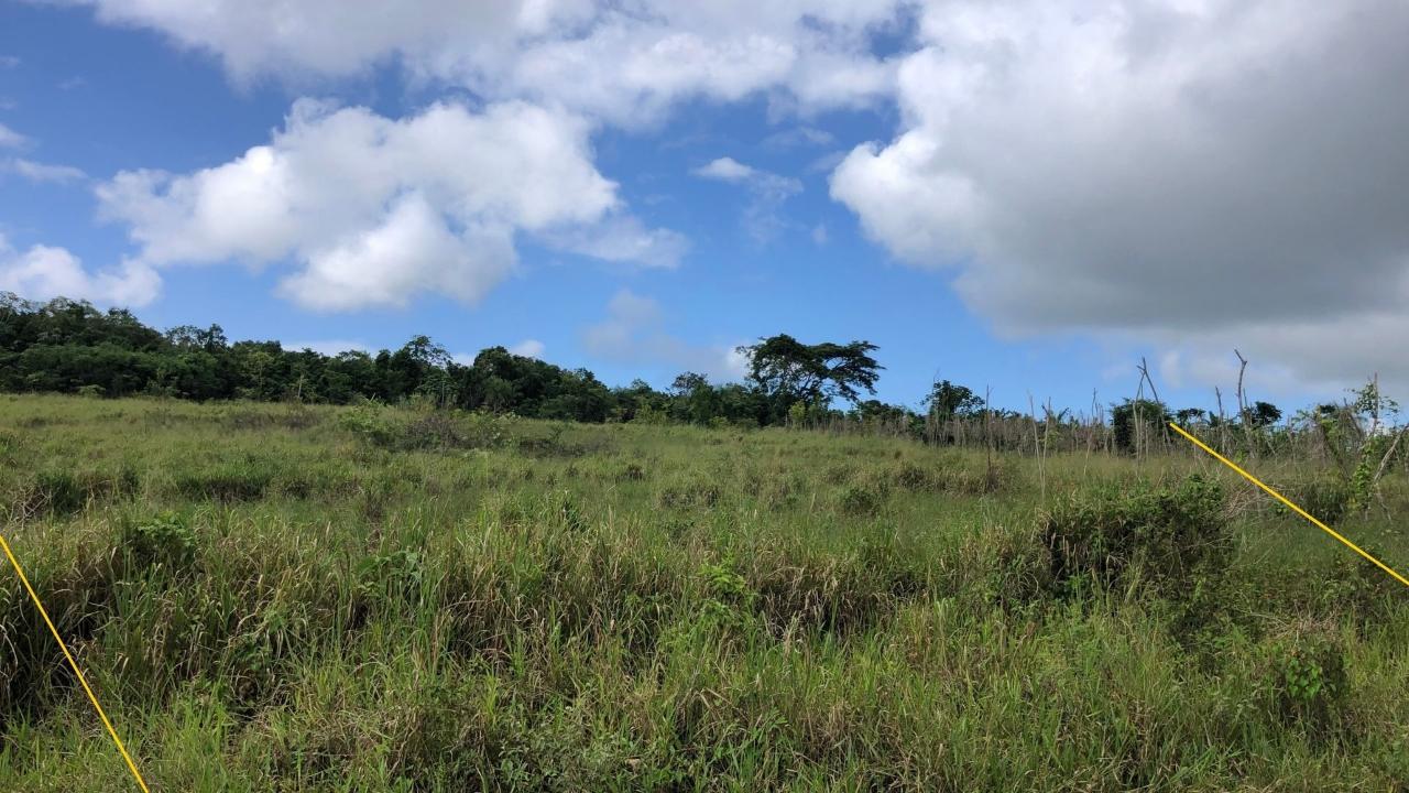 Exclusive-Development-Land-for-Sale-in-Minard-Estates-St.-Ann Second image of 458 Minard Estate in Browns Town, St. Ann, Jamaica - property is For Sale