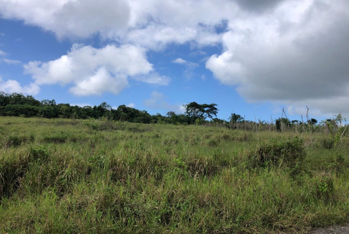 Eleventh image of 458 Minard Estate in Browns Town, St. Ann, Jamaica - property is For Sale