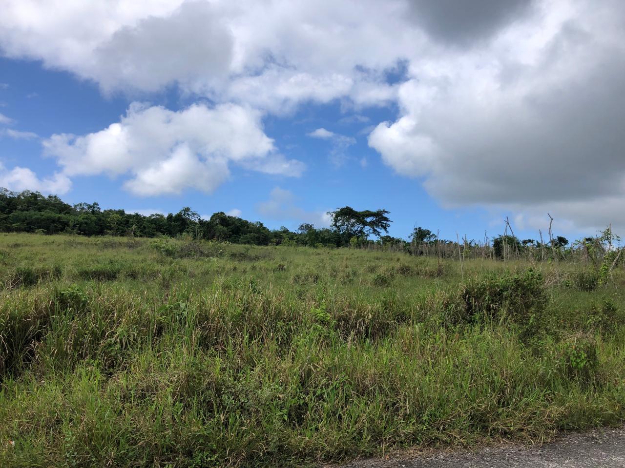 Exclusive-Development-Land-for-Sale-in-Minard-Estates-St.-Ann Eleventh image of 458 Minard Estate in Browns Town, St. Ann, Jamaica - property is For Sale