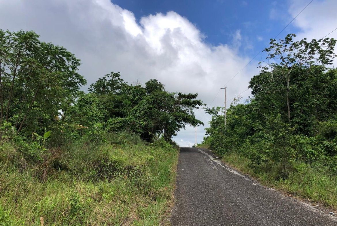 Twelfth image of 458 Minard Estate in Browns Town, St. Ann, Jamaica - property is For Sale