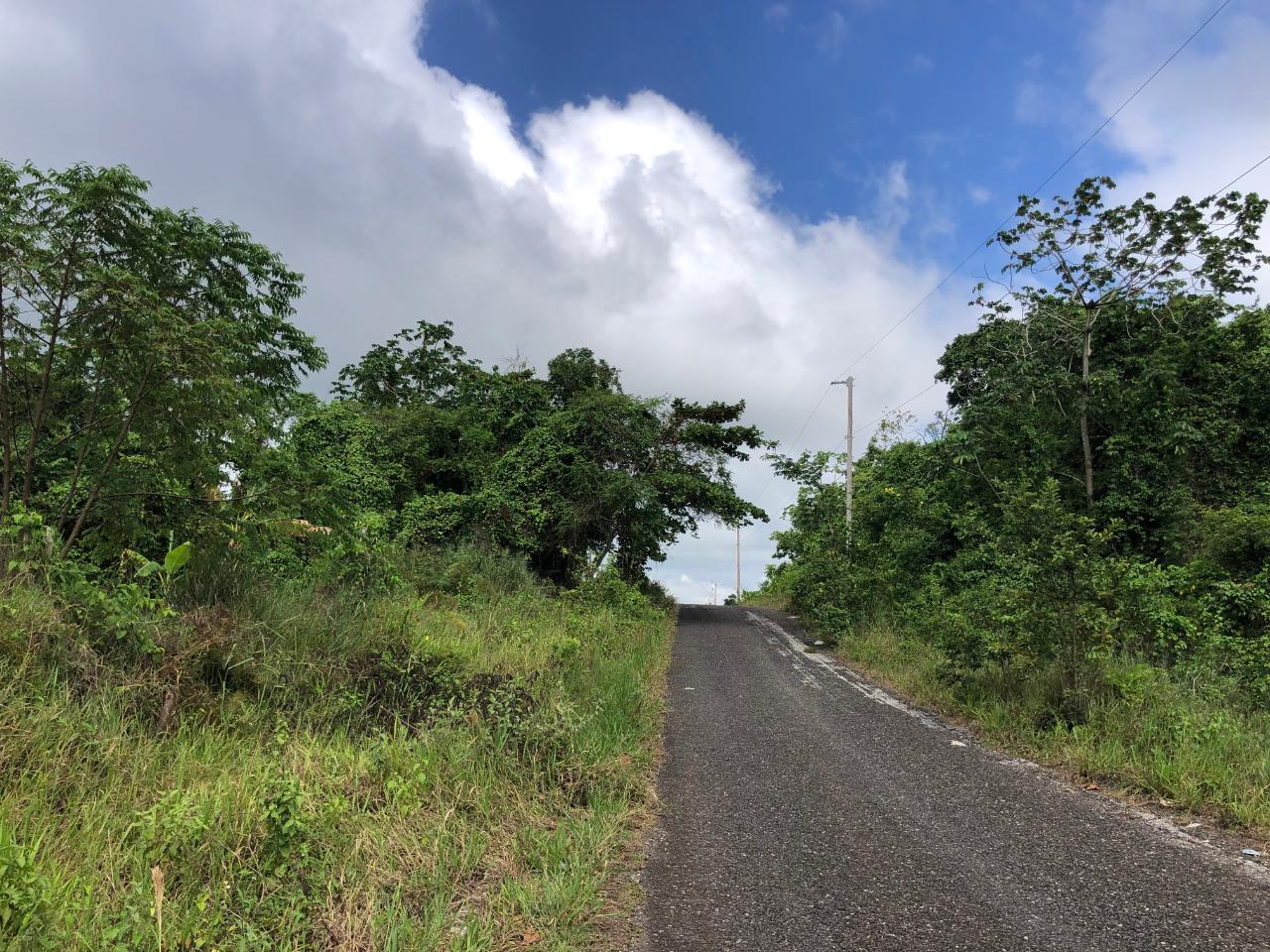 Exclusive-Development-Land-for-Sale-in-Minard-Estates-St.-Ann Twelfth image of 458 Minard Estate in Browns Town, St. Ann, Jamaica - property is For Sale