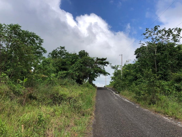 Twelfth image of 458 Minard Estate in Browns Town, St. Ann, Jamaica - property is For Sale
