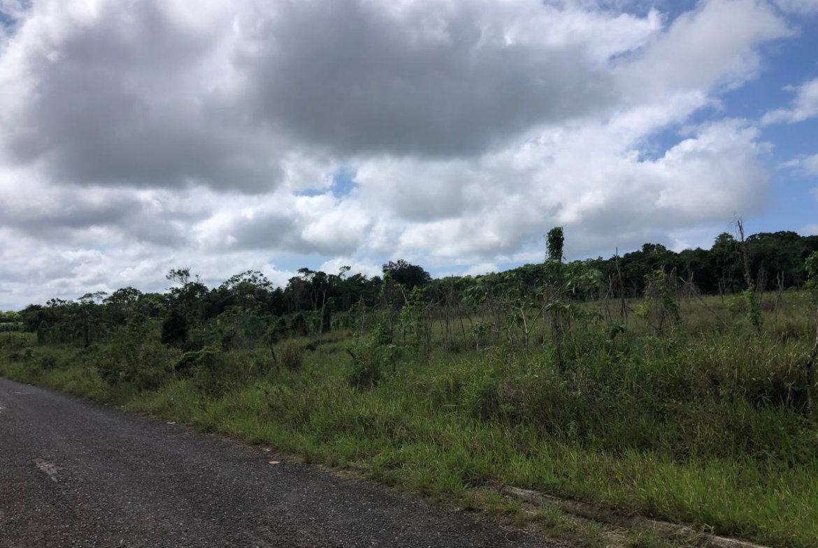 Fifth image of 458 Minard Estate in Browns Town, St. Ann, Jamaica - property is For Sale