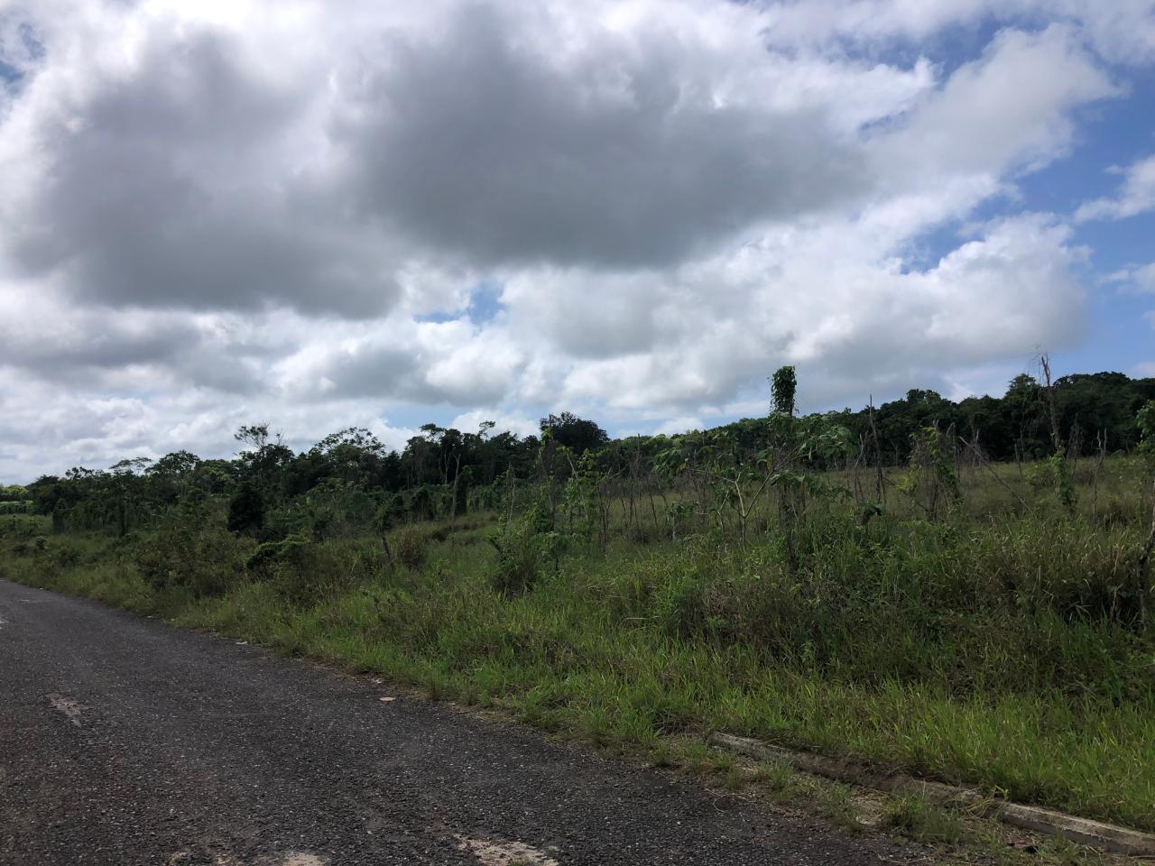 Exclusive-Development-Land-for-Sale-in-Minard-Estates-St.-Ann Fifth image of 458 Minard Estate in Browns Town, St. Ann, Jamaica - property is For Sale