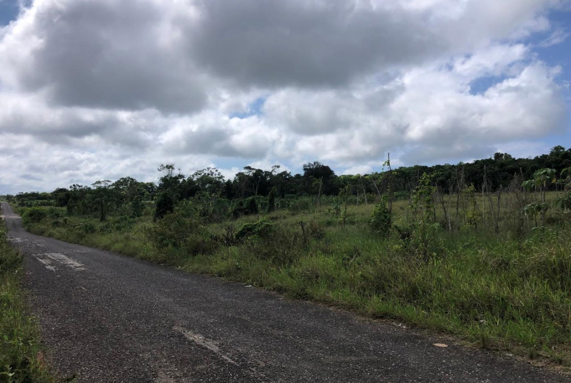 Sixth image of 458 Minard Estate in Browns Town, St. Ann, Jamaica - property is For Sale