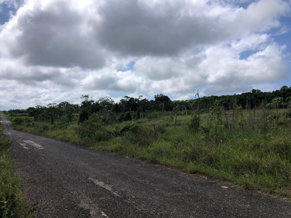 Sixth image of 458 Minard Estate in Browns Town, St. Ann, Jamaica - property is For Sale
