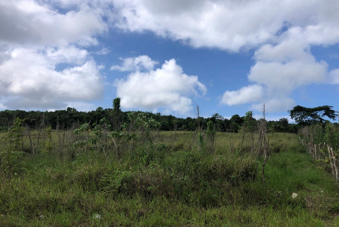 Seventh image of 458 Minard Estate in Browns Town, St. Ann, Jamaica - property is For Sale