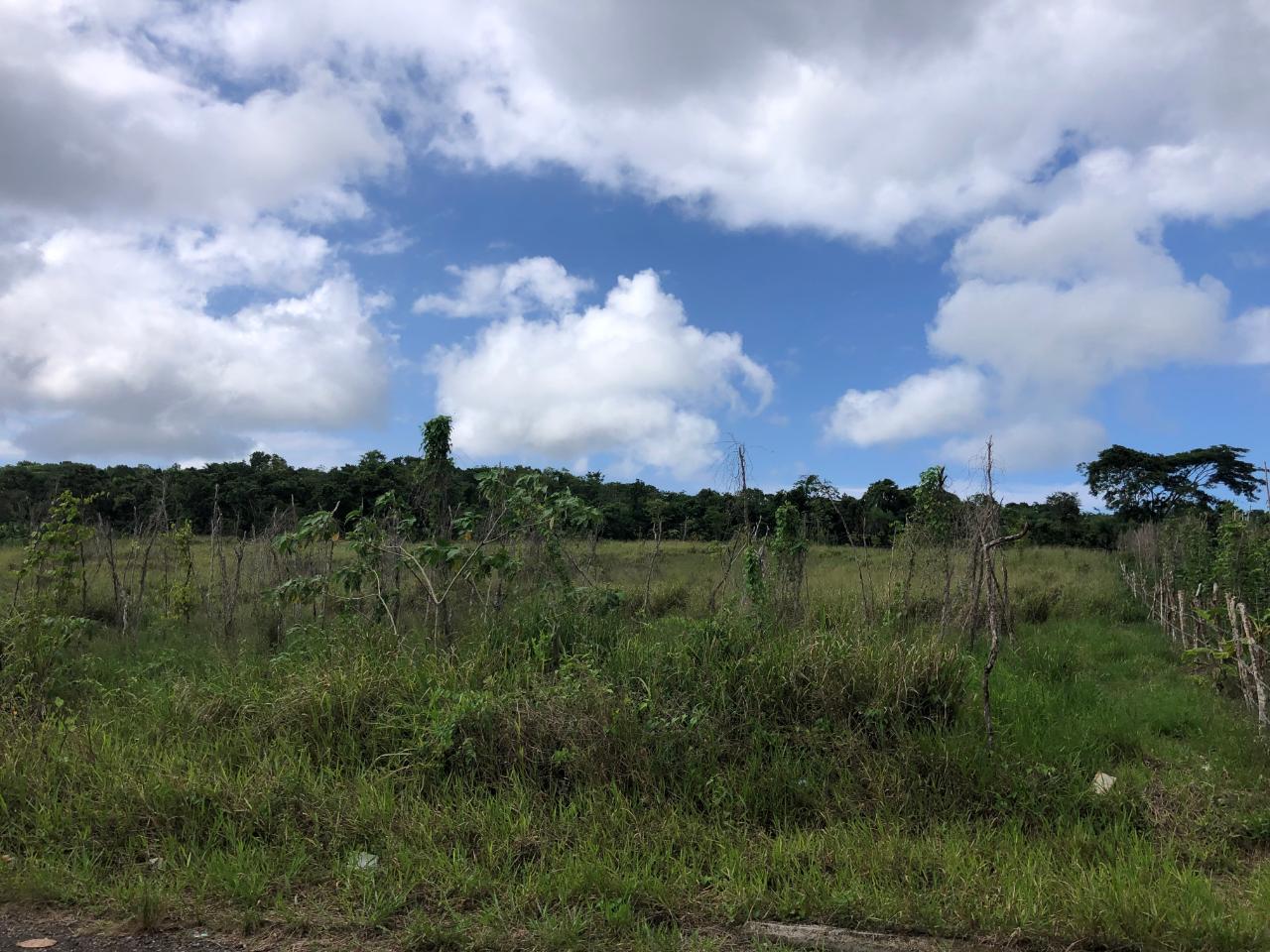Exclusive-Development-Land-for-Sale-in-Minard-Estates-St.-Ann Seventh image of 458 Minard Estate in Browns Town, St. Ann, Jamaica - property is For Sale
