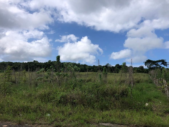 Seventh image of 458 Minard Estate in Browns Town, St. Ann, Jamaica - property is For Sale