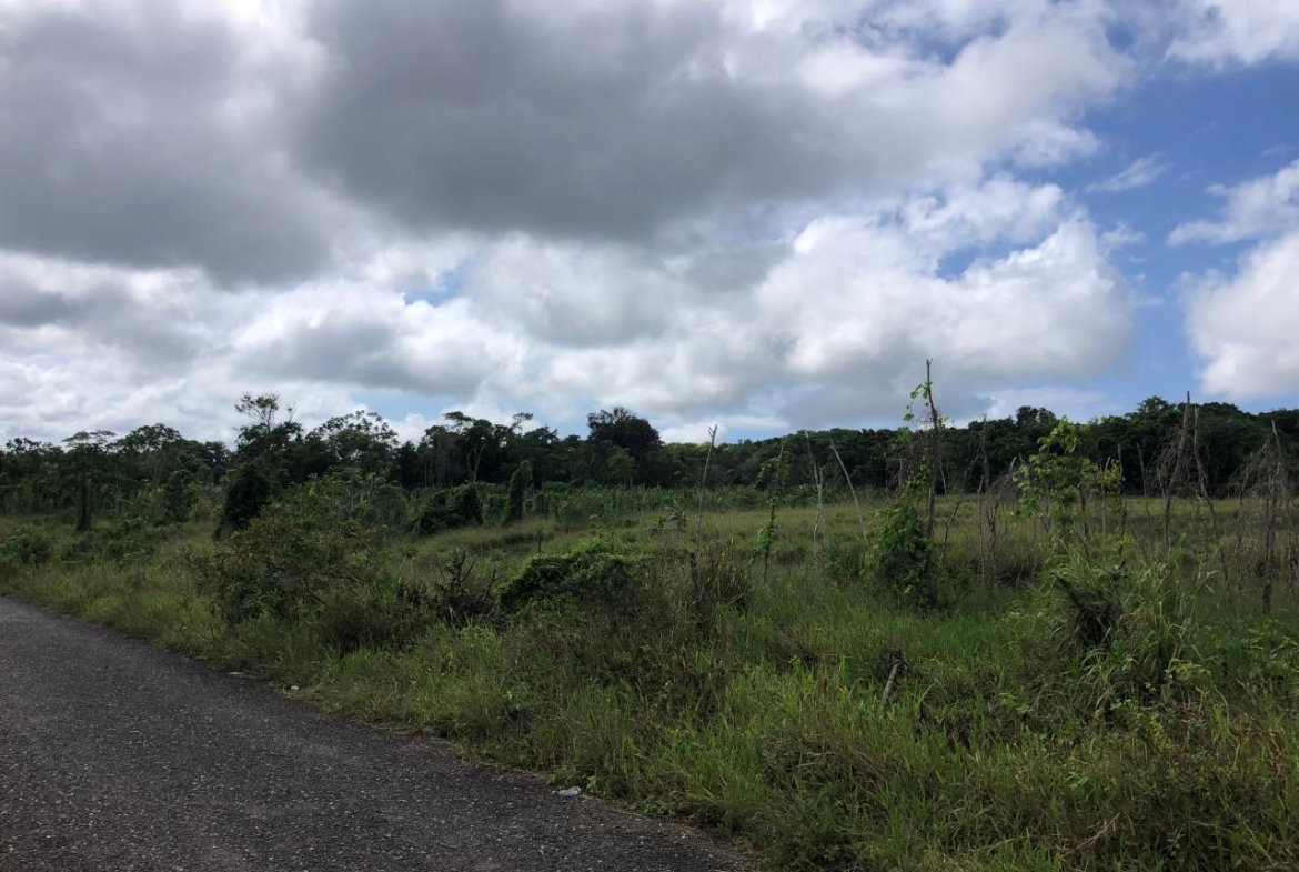 Eighth image of 458 Minard Estate in Browns Town, St. Ann, Jamaica - property is For Sale