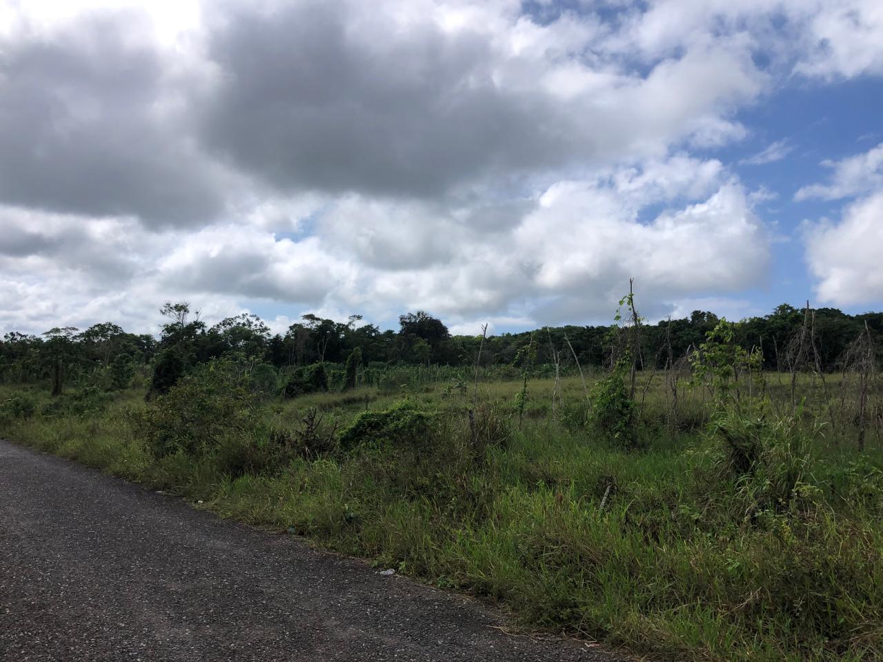 Exclusive-Development-Land-for-Sale-in-Minard-Estates-St.-Ann Eighth image of 458 Minard Estate in Browns Town, St. Ann, Jamaica - property is For Sale