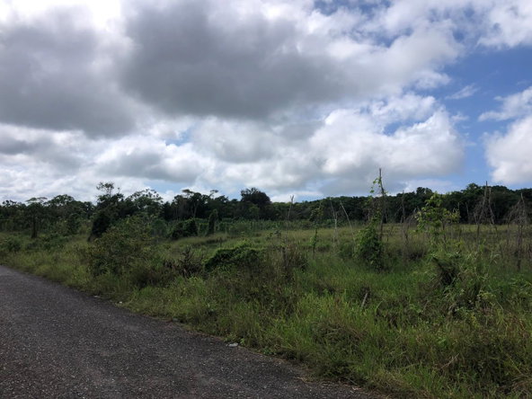 Eighth image of 458 Minard Estate in Browns Town, St. Ann, Jamaica - property is For Sale