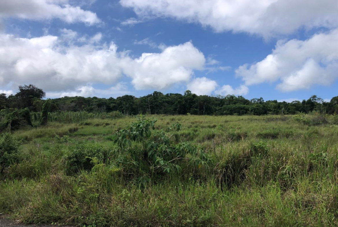 Tenth image of 458 Minard Estate in Browns Town, St. Ann, Jamaica - property is For Sale