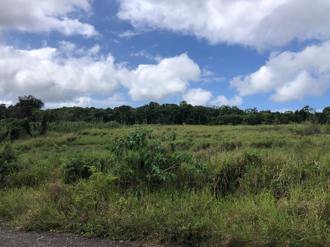 Exclusive-Development-Land-for-Sale-in-Minard-Estates-St.-Ann Tenth image of 458 Minard Estate in Browns Town, St. Ann, Jamaica - property is For Sale