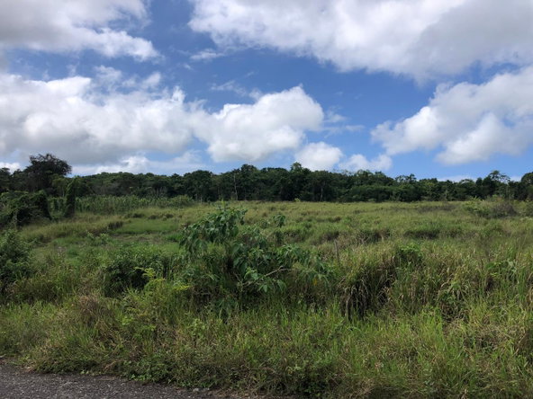 Tenth image of 458 Minard Estate in Browns Town, St. Ann, Jamaica - property is For Sale