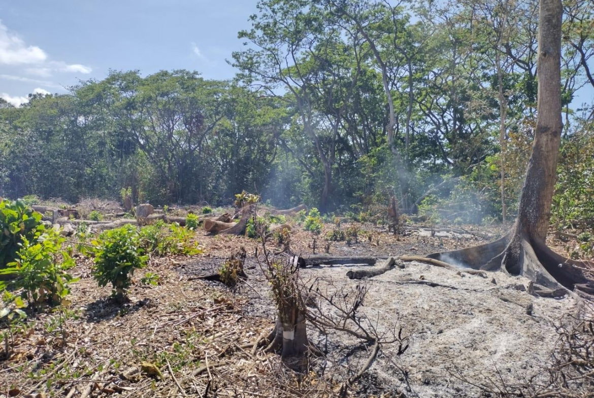 Third image of Lot 279 Don Christopher Avenue, d in Drax Hall Estate, St. Ann, Jamaica - property is For Sale