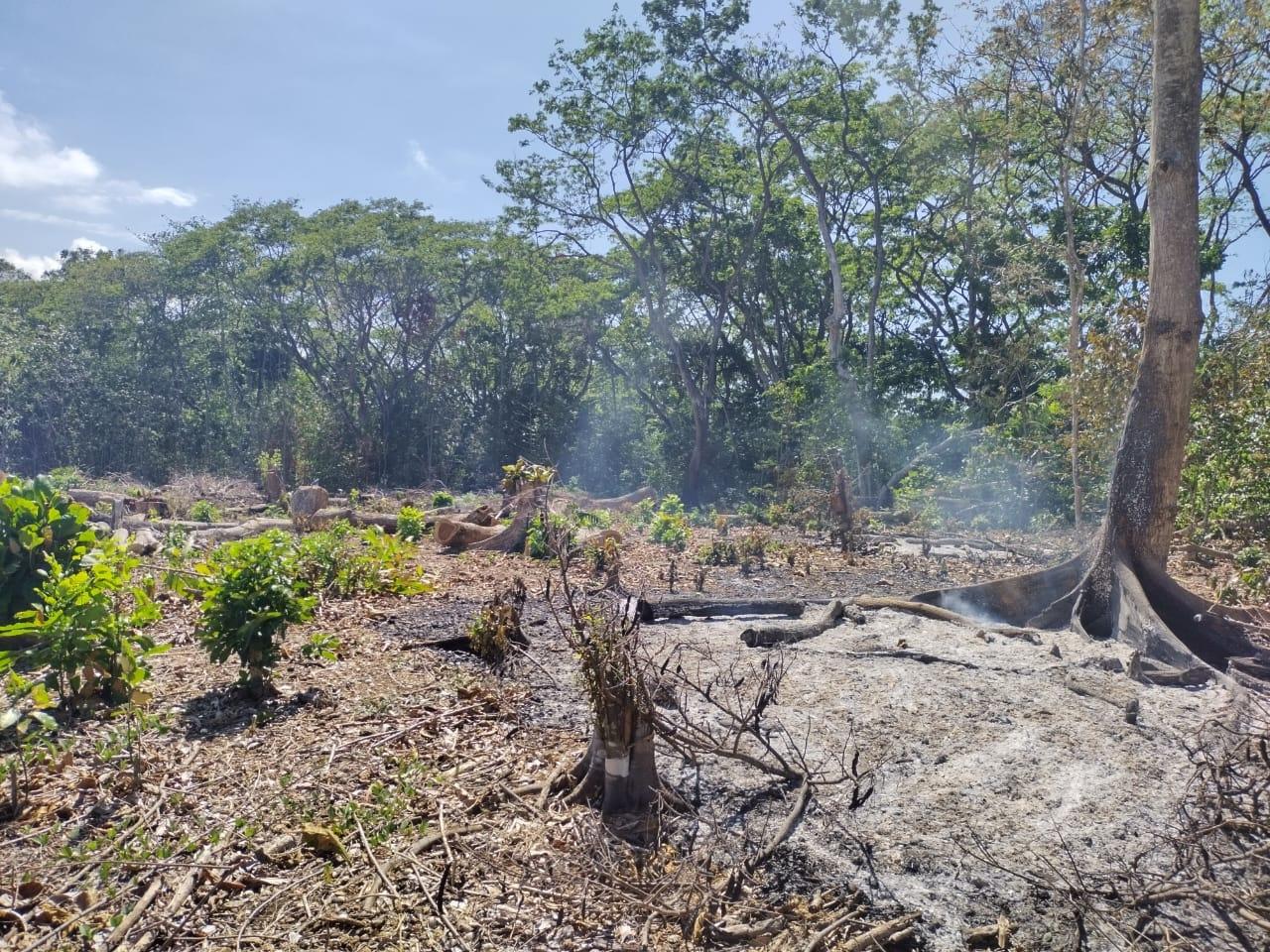 Third image of Lot 279 Don Christopher Avenue, d in Drax Hall Estate, St. Ann, Jamaica - property is For Sale