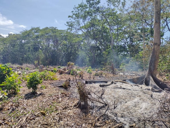 Third image of Lot 279 Don Christopher Avenue, d in Drax Hall Estate, St. Ann, Jamaica - property is For Sale
