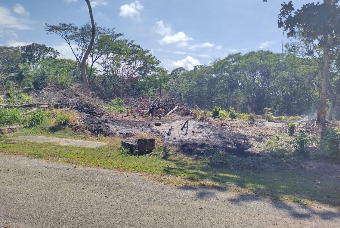 Fourth image of Lot 279 Don Christopher Avenue, d in Drax Hall Estate, St. Ann, Jamaica - property is For Sale
