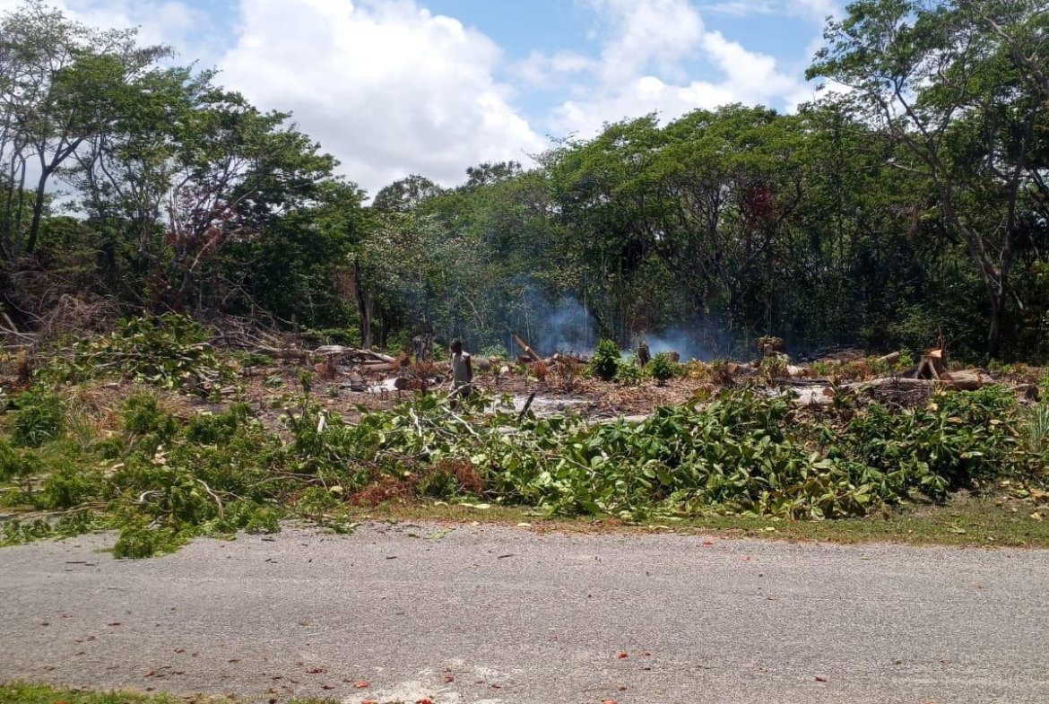 Fifth image of Lot 279 Don Christopher Avenue, d in Drax Hall Estate, St. Ann, Jamaica - property is For Sale
