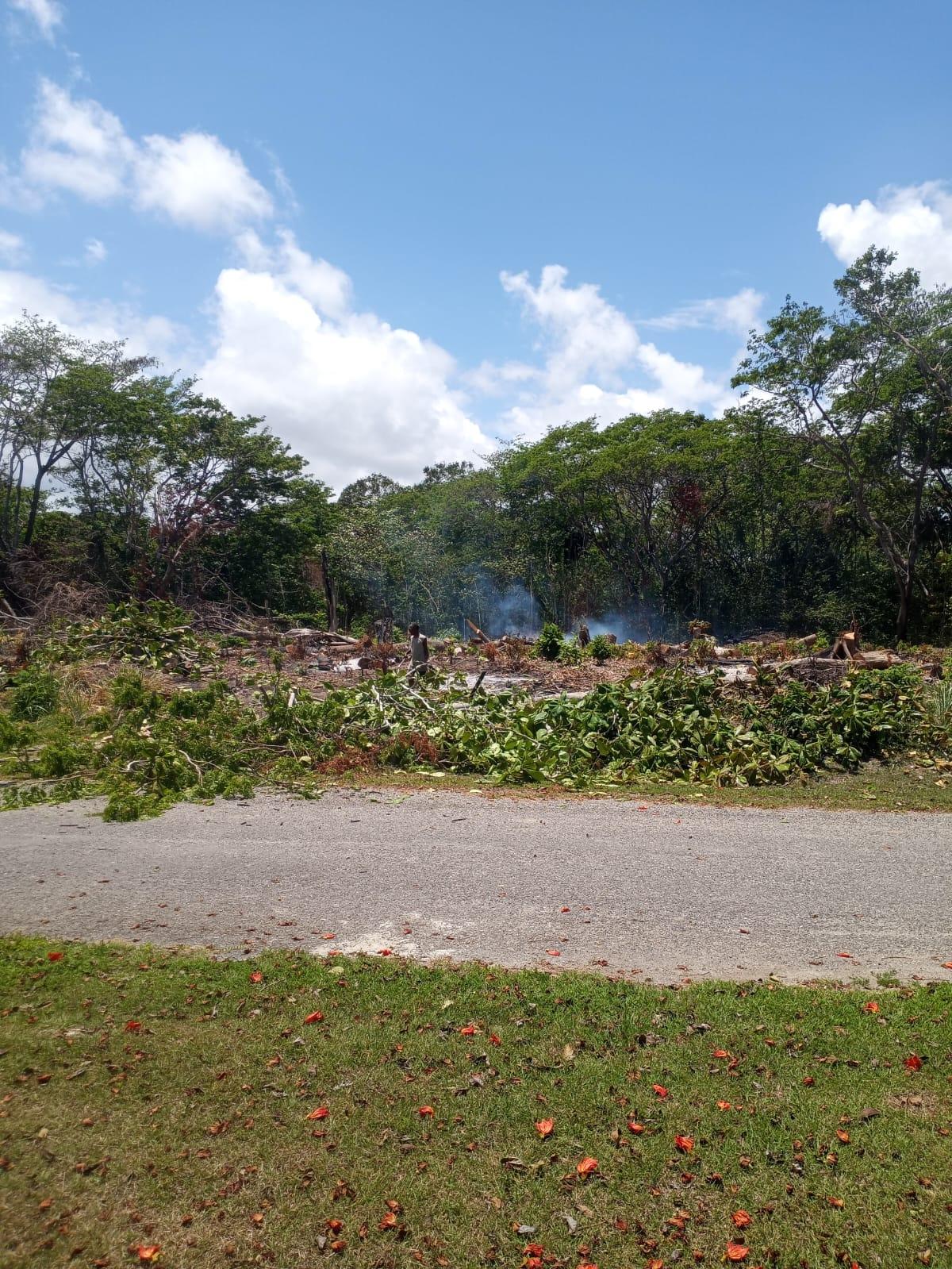 Fifth image of Lot 279 Don Christopher Avenue, d in Drax Hall Estate, St. Ann, Jamaica - property is For Sale