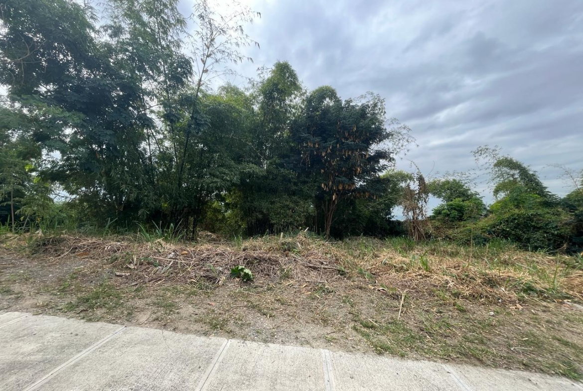 Second image of 26 Widcombe Estate in Kingston 6, St. Andrew, Jamaica - property is For Sale
