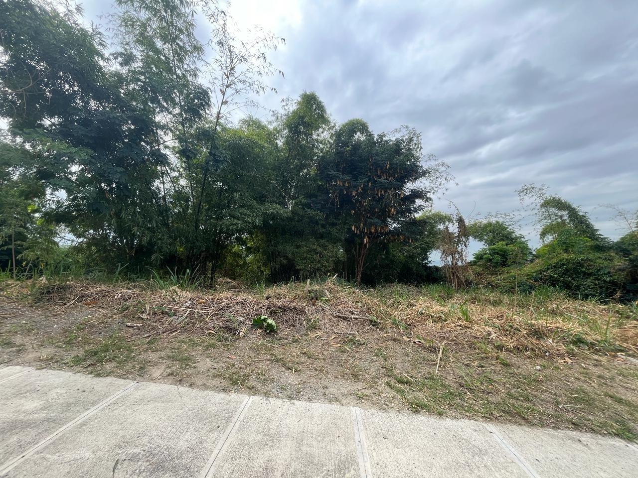 Exclusive-Residential-Lot-for-Sale-in-Kingston-6-Widcombe-Estate Second image of 26 Widcombe Estate in Kingston 6, St. Andrew, Jamaica - property is For Sale