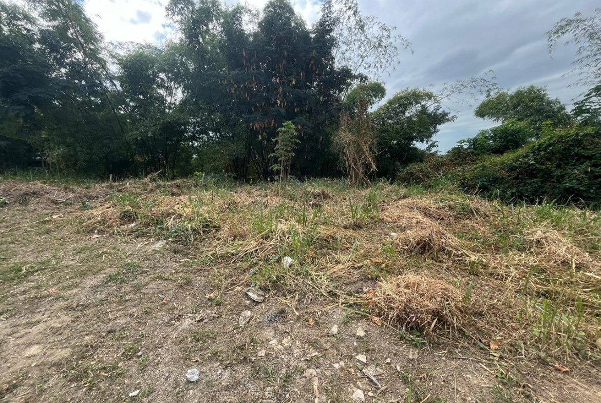 First image of 26 Widcombe Estate in Kingston 6, St. Andrew, Jamaica - property is For Sale