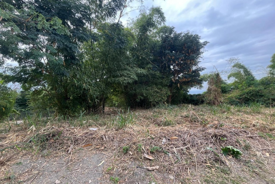 Third image of 26 Widcombe Estate in Kingston 6, St. Andrew, Jamaica - property is For Sale