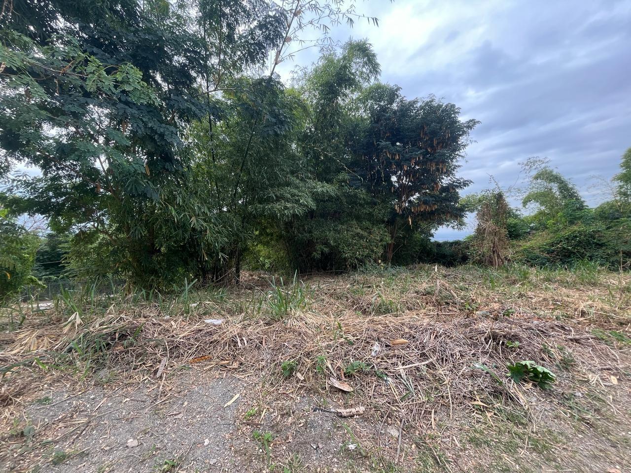Exclusive-Residential-Lot-for-Sale-in-Kingston-6-Widcombe-Estate Third image of 26 Widcombe Estate in Kingston 6, St. Andrew, Jamaica - property is For Sale