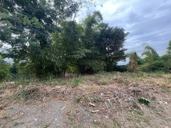 Third image of 26 Widcombe Estate in Kingston 6, St. Andrew, Jamaica - property is For Sale