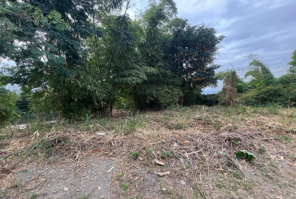 Fourth image of 26 Widcombe Estate in Kingston 6, St. Andrew, Jamaica - property is For Sale