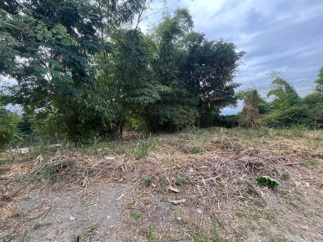 Exclusive-Residential-Lot-for-Sale-in-Kingston-6-Widcombe-Estate Fourth image of 26 Widcombe Estate in Kingston 6, St. Andrew, Jamaica - property is For Sale