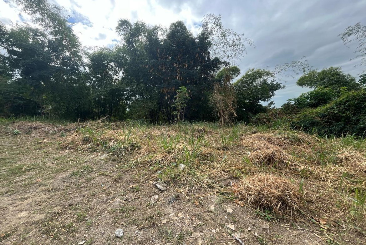 Fifth image of 26 Widcombe Estate in Kingston 6, St. Andrew, Jamaica - property is For Sale
