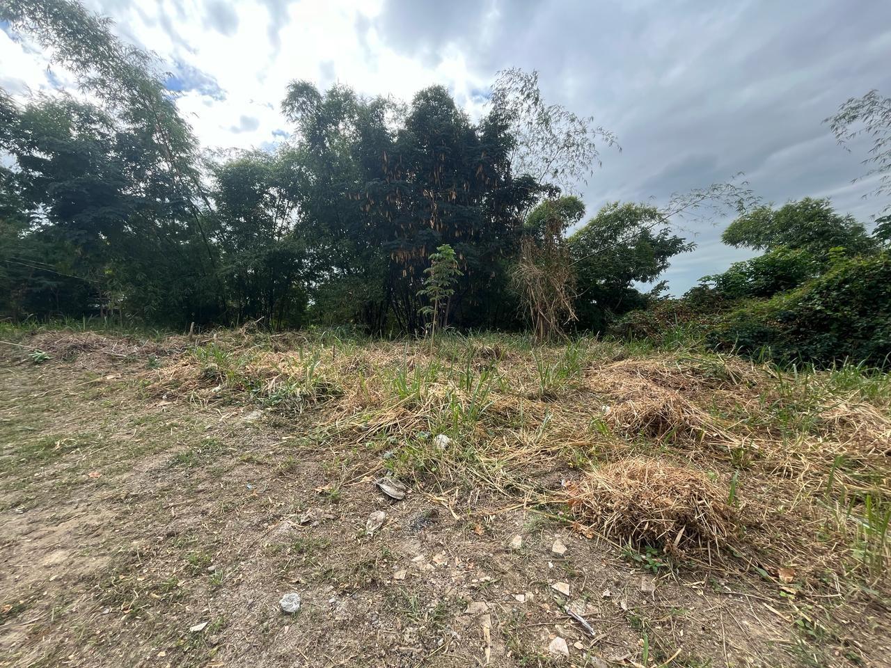 Exclusive-Residential-Lot-for-Sale-in-Kingston-6-Widcombe-Estate Fifth image of 26 Widcombe Estate in Kingston 6, St. Andrew, Jamaica - property is For Sale