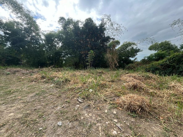Fifth image of 26 Widcombe Estate in Kingston 6, St. Andrew, Jamaica - property is For Sale