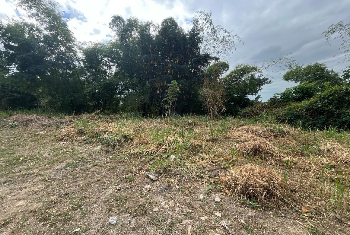 Sixth image of 26 Widcombe Estate in Kingston 6, St. Andrew, Jamaica - property is For Sale