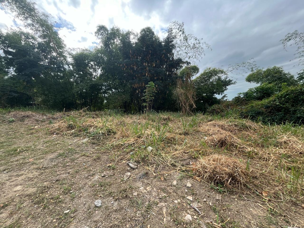 Exclusive-Residential-Lot-for-Sale-in-Kingston-6-Widcombe-Estate Sixth image of 26 Widcombe Estate in Kingston 6, St. Andrew, Jamaica - property is For Sale