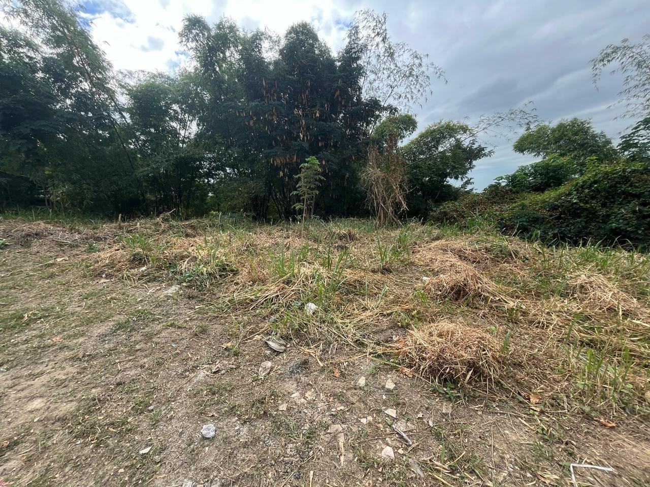Exclusive-Residential-Lot-for-Sale-in-Kingston-6-Widcombe-Estate First image of 26 Widcombe Estate in Kingston 6, St. Andrew, Jamaica - property is For Sale