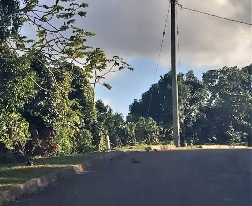 Eleventh image of Lot-360 Moorland Manor in Moorlands Phase 3, Manchester, Jamaica - property is For Sale