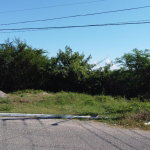 First image of Lot-454 Melrose Pen in Melrose, Manchester, Jamaica - property is For Sale