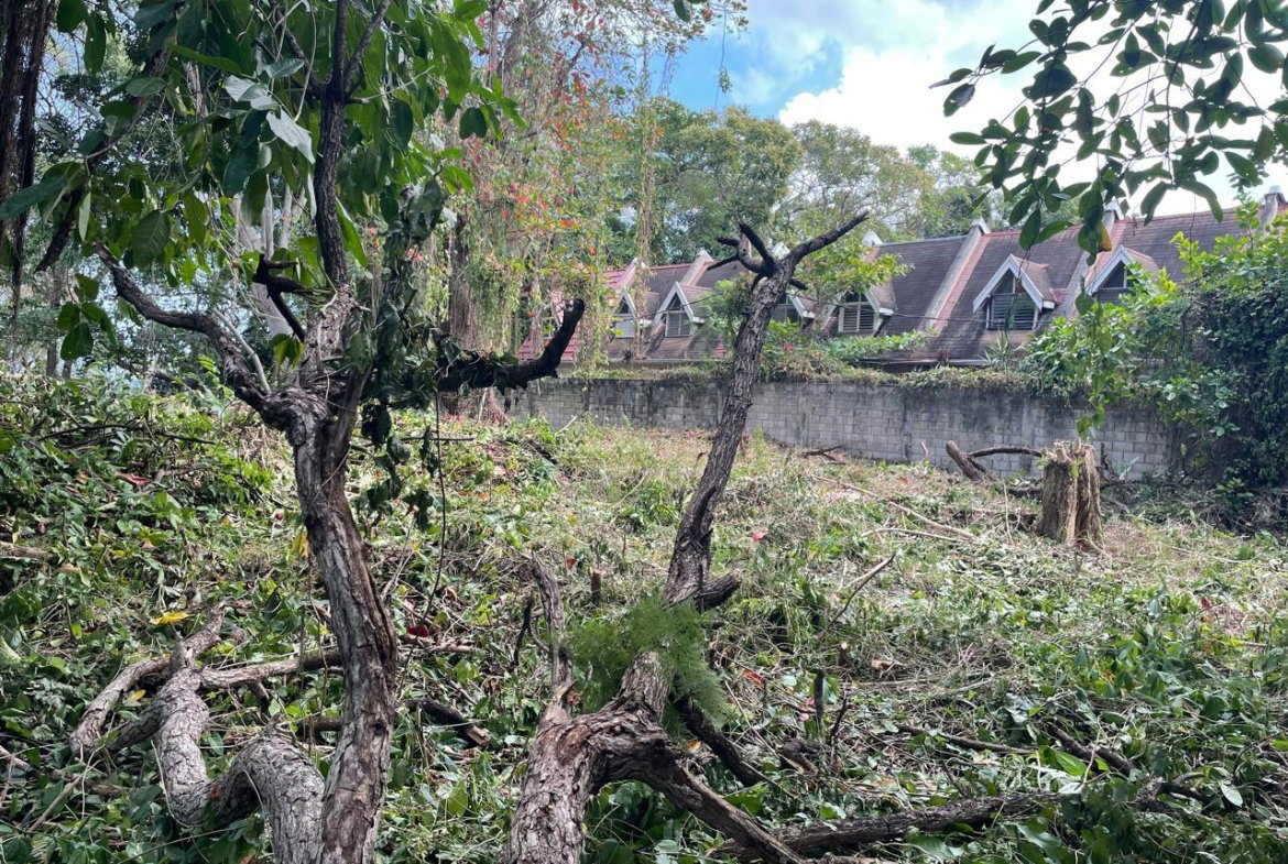 Fifth image of 8a Hermosa Lane in Ocho Rios, St. Ann, Jamaica - property is For Sale