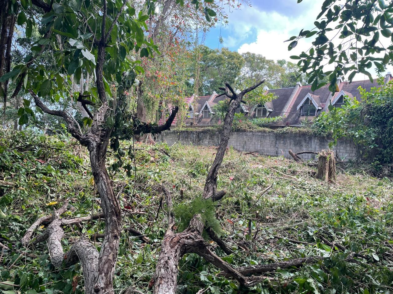 Fifth image of 8a Hermosa Lane in Ocho Rios, St. Ann, Jamaica - property is For Sale
