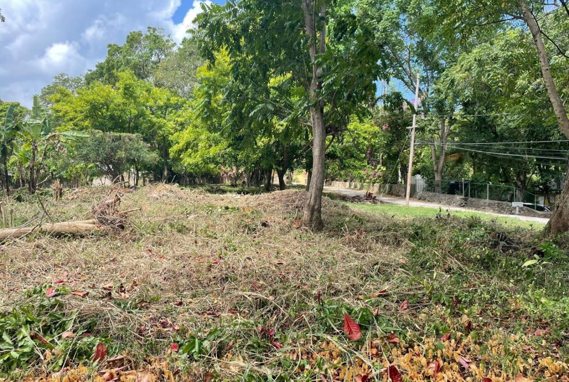 Sixth image of 8a Hermosa Lane in Ocho Rios, St. Ann, Jamaica - property is For Sale
