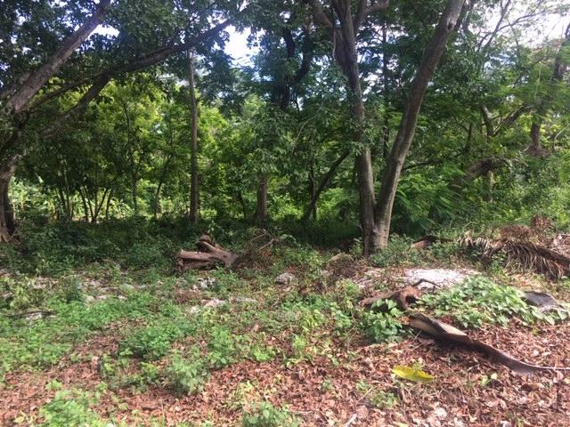 Seventh image of 8a Hermosa Lane in Ocho Rios, St. Ann, Jamaica - property is For Sale
