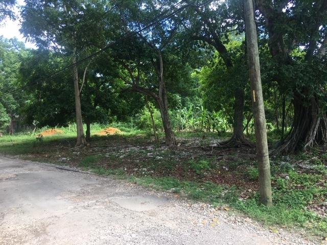 Eighth image of 8a Hermosa Lane in Ocho Rios, St. Ann, Jamaica - property is For Sale