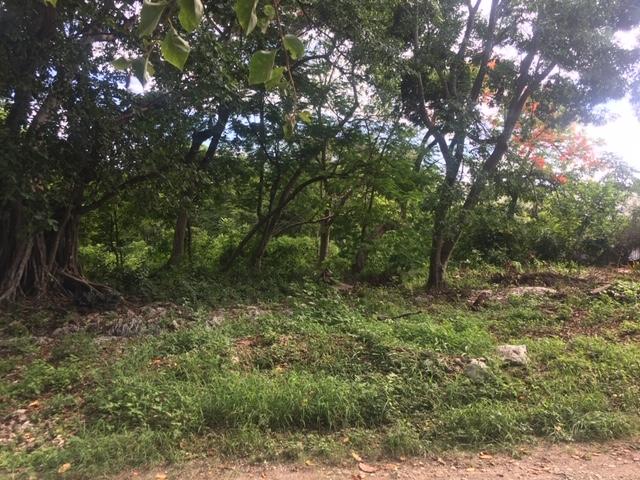 Ninth image of 8a Hermosa Lane in Ocho Rios, St. Ann, Jamaica - property is For Sale